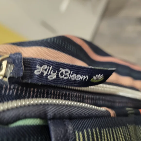 Lily Bloom Multicolor Striped Women's Bag With Multiple Pockets - Picture 4 of 14